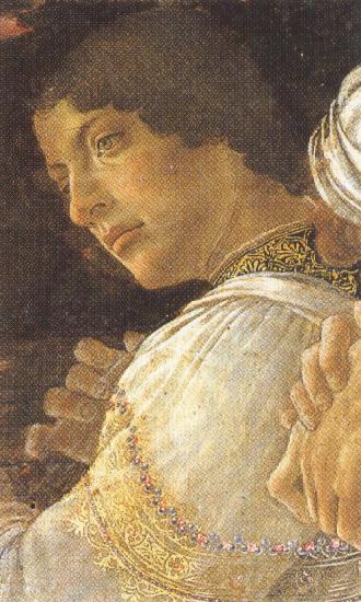 Sandro Botticelli Young kneeling Mago (mk36)